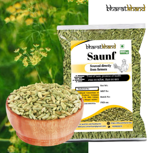 Saunf (Fennel Seeds)
