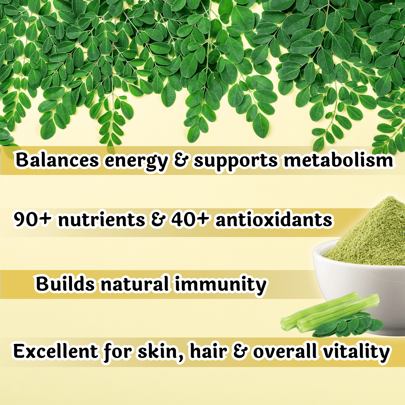 Moringa Powder2